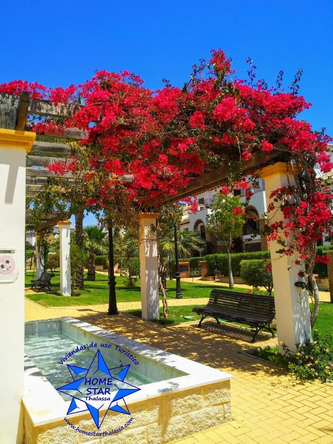 Home Star L'Île-Rousse Dış mekan fotoğraf